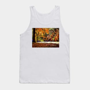 Trees In The Fall – Graphic 2 Tank Top